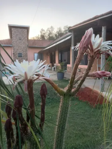 Chácara 1000m2 em Pinhalzinho SP