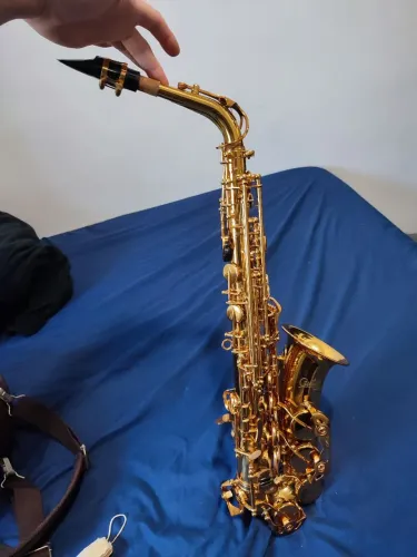 Sax Alto estudante custom Premium sax