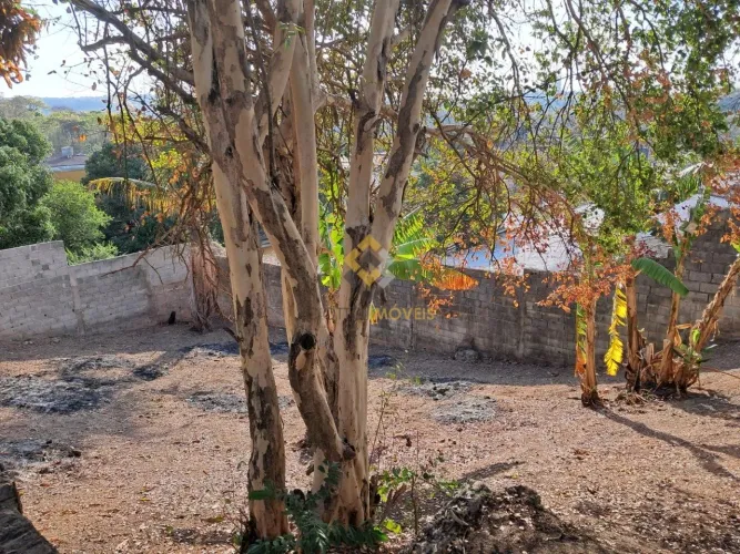 Lote - Ermelinda