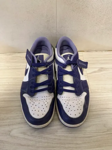 Air Jordan 1 FlyEase Sky J