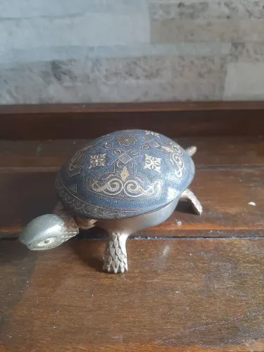 Companhia de tartaruga de mesa de corda