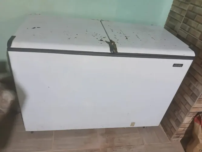 Frizer 2 porta