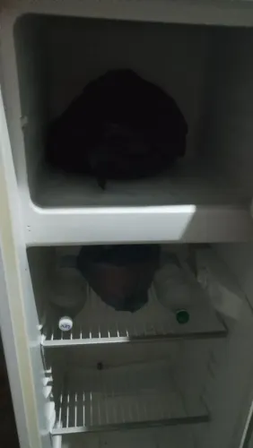 Geladeira Gelo seco Boa 