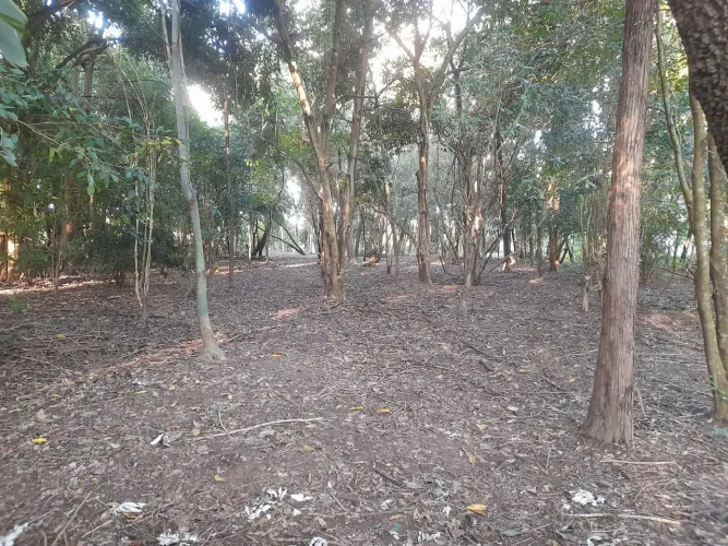 Rancho lagoa preta serra azul