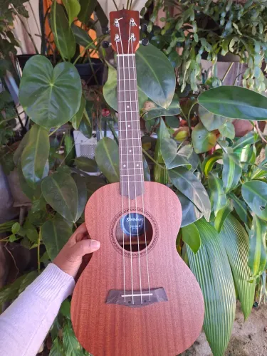 Ukelele