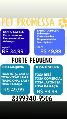 Banho e tosa completo