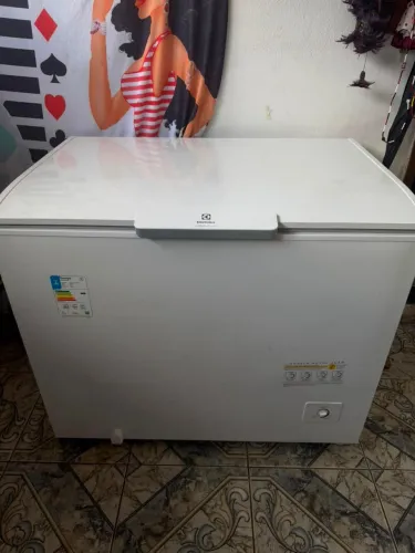Freezer 6 meses de uso! Inverter ECONÔMICO
