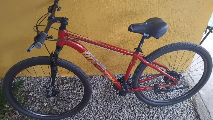 Houston skailer 29 quadro 17