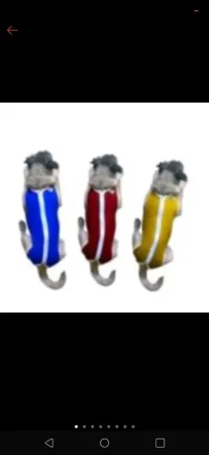 Kit com 3 Roupas Pós Cirúrgicas Para Cães Tm1 ao Tm6