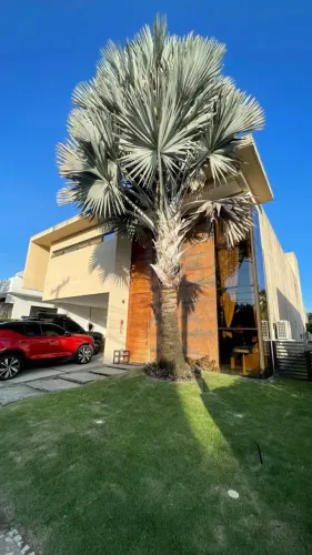 Imóvel para venda tem 382 metros quadrados com 4 quartos em Centro - João Pessoa - PB