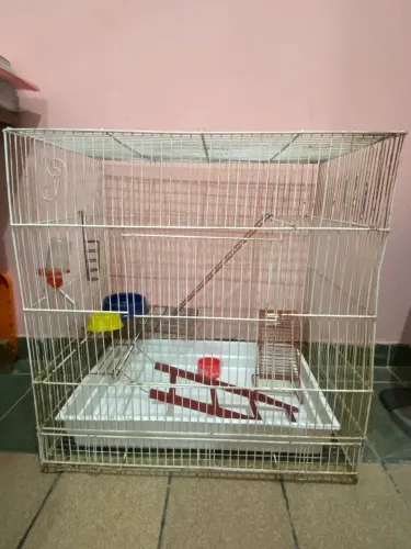GAIOLA PARA ROEDOR 60x45
