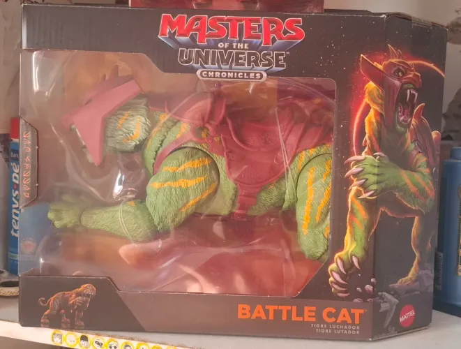 gato guerreiro
