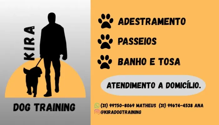 Banho e tosa a domicílio, adestramento!