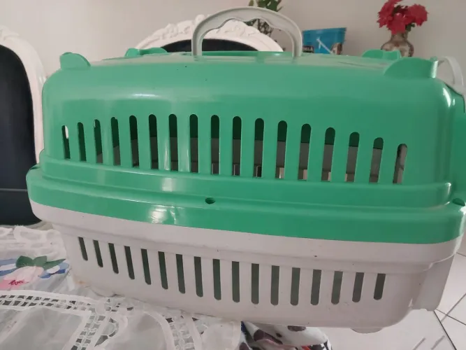 caixa transporte pet até 10 kls