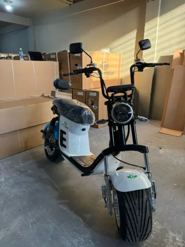Moto elétrica X13 1000W