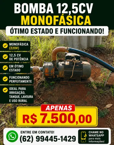 Bomba 3 Fases 12,5cv Monofásica 
