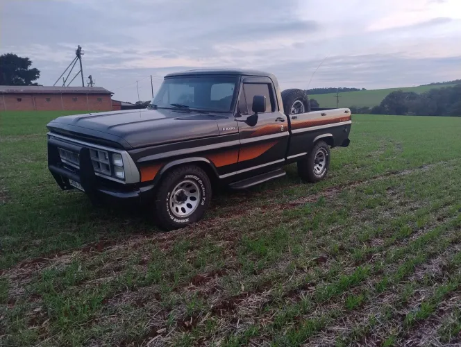 Ford F-1000 S. S. Diesel / S.s. Diesel Turbo 1988