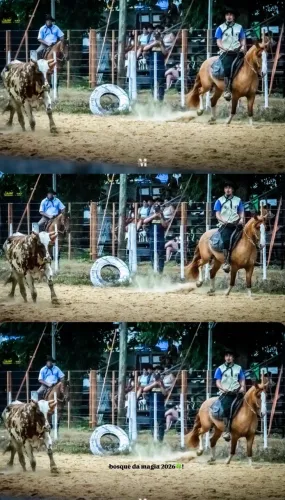 Égua Gateada Ruiva Craque!