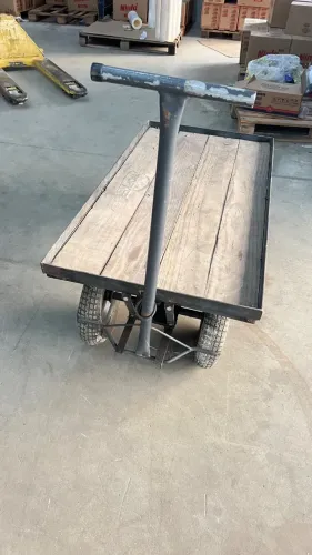 Carrinho de carga plataforma 500kg
