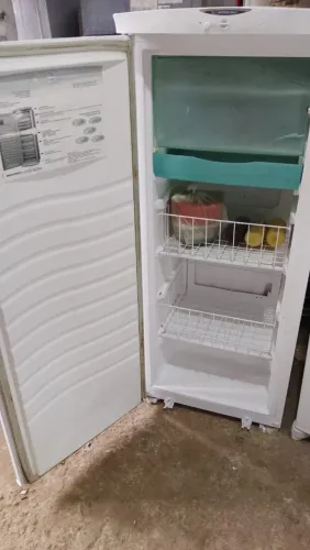 Freezer vertical