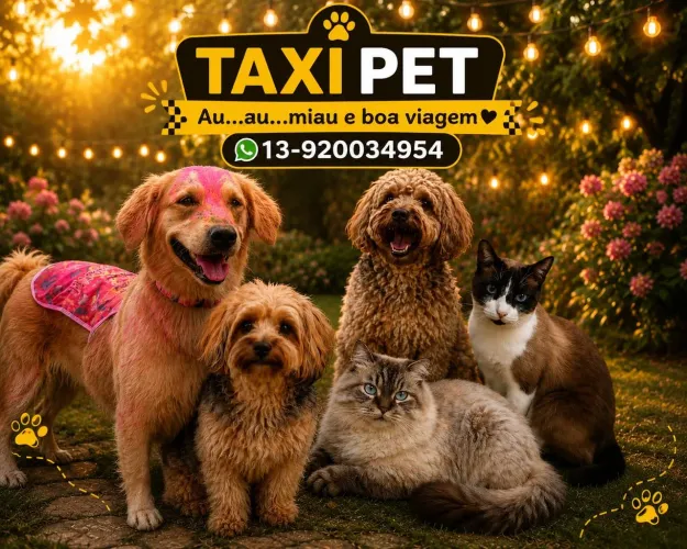 TAXI PET