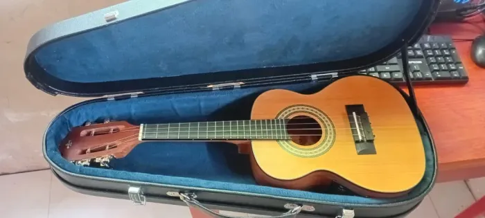 cavaquinho 450