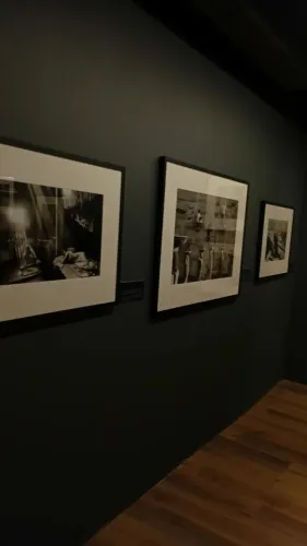 Fotógrafo iniciante 