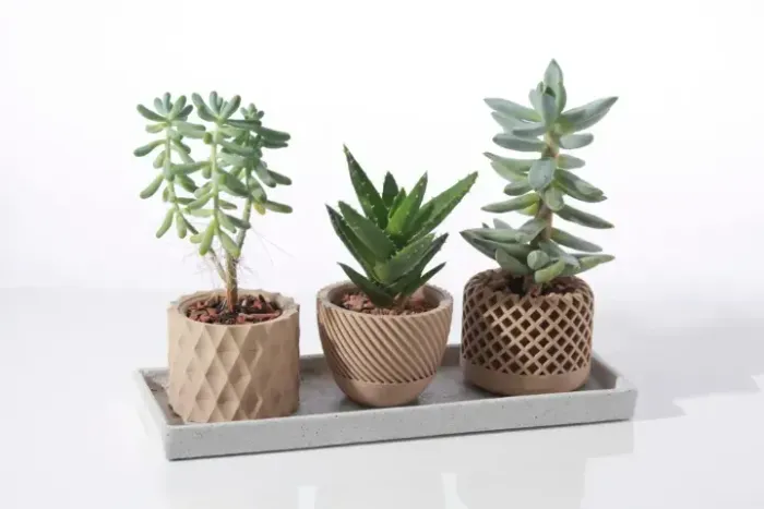 Vasos para suculentas e cactos personalizados feito sob impressão 3D