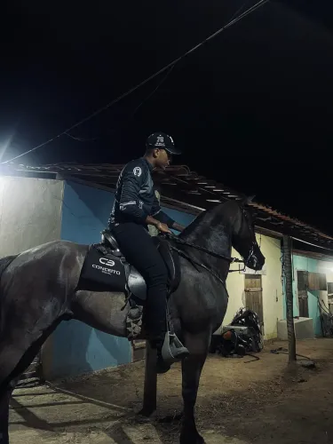 Cavalo mangalarga mestiço 4 anos 