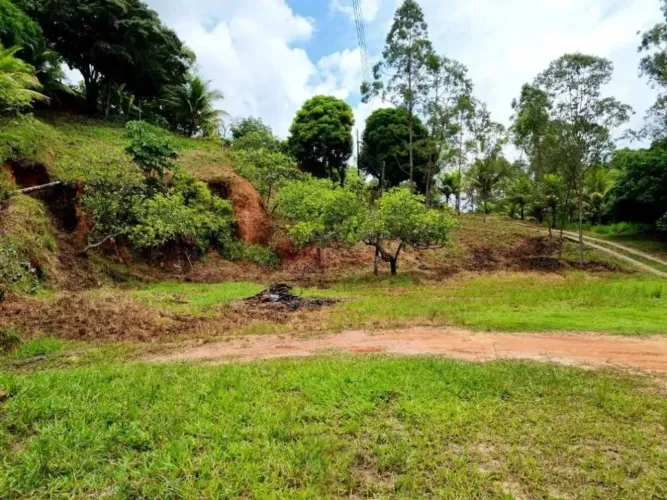 Área 2 hectares terreno beira pista BR 101 do Cabo PE