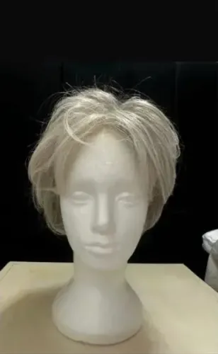 Vendo peruca da famosa marca Eva Gabor , comprada na loja Hd make Hair.