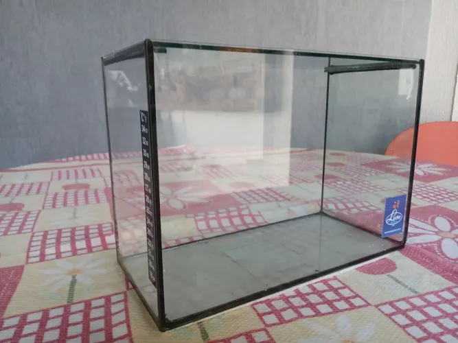 Kit iniciante aquário