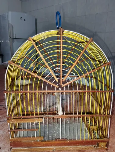 gaiola 