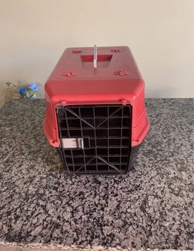 CAIXA TRANSPORTADORA DE ANIMAIS 