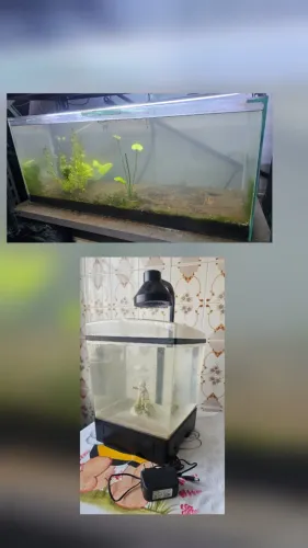 Aquário 80L + Aquário Tetra 11,5L