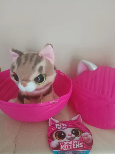 Gato de pelúcia com som semi novo