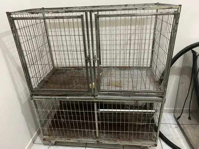 Gaiola Canil em Aço para Pet Shop - 6 Baias - Estrutura Reforçada