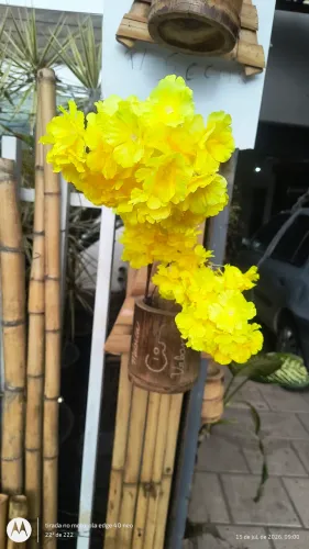 Floreira de bambu 