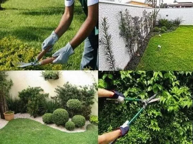 H&D jardinagem paisagismo e serviços