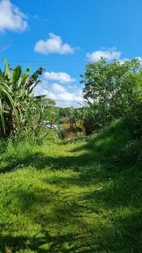 Área com 18 ha no Banco da Vitória