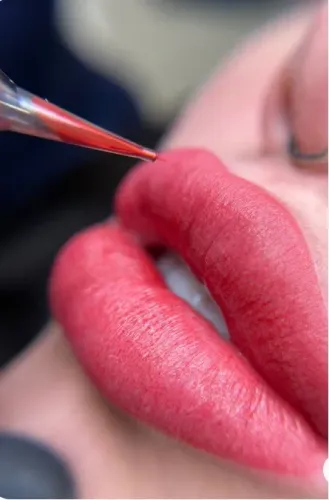 pigmento para todos os tipos de labios 6 meses para vencer esse ano