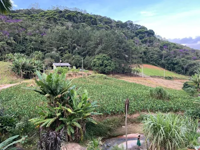 Sítio no Distrito de São Floriano/São Bento de Urânia - Alfredo Chaves - ES