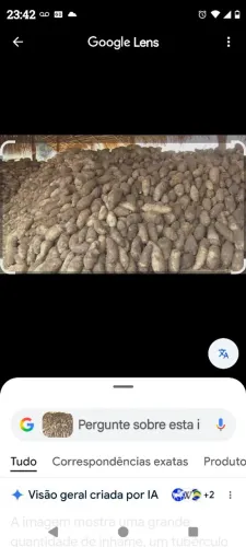 VENDO INHAME SÃO TOMÉ 