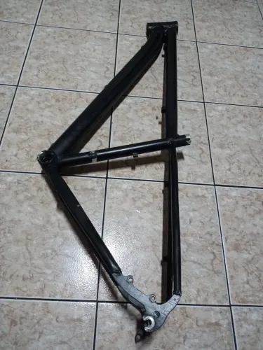 Bike Aro 29