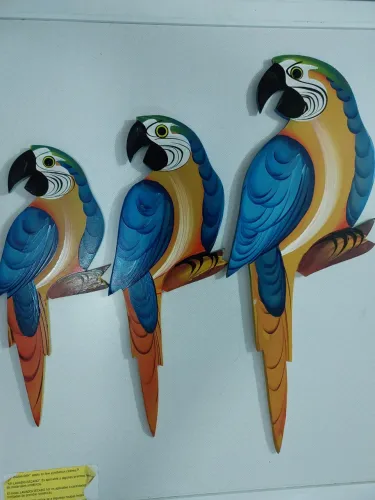 Decoração de parede 3 Araras-Canidé 