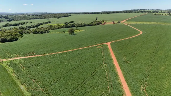 Fazenda em Morrinhos-go