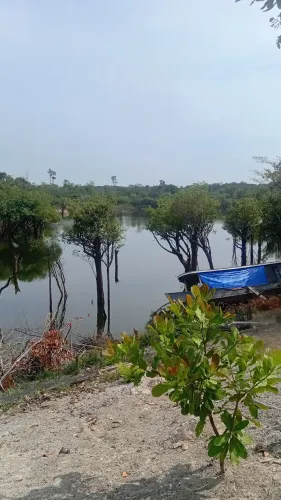 Venda ou troca terreno no Rio Acarii...município de novo aripuana..Amazonas