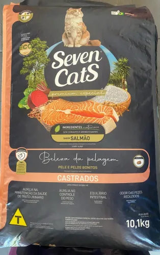Seven cats