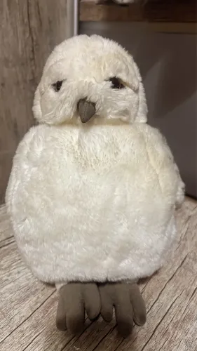 Coruja Hedwig Original Harry Potter - Universal Orlando