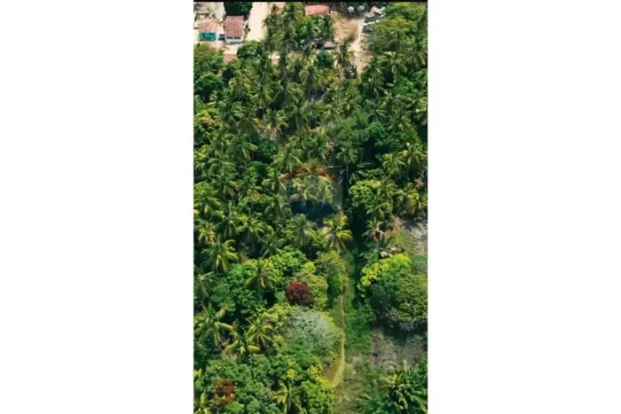 Área em Marechal Deodoro no Povoado Mucuri.